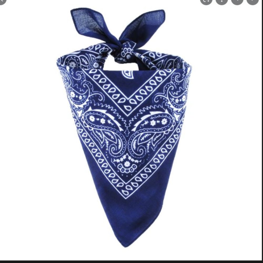 Navy Blue Paisley Bandana